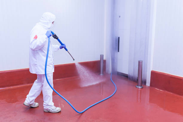 Best Machinery and Equipment Cleaning  in Carlyss, LA