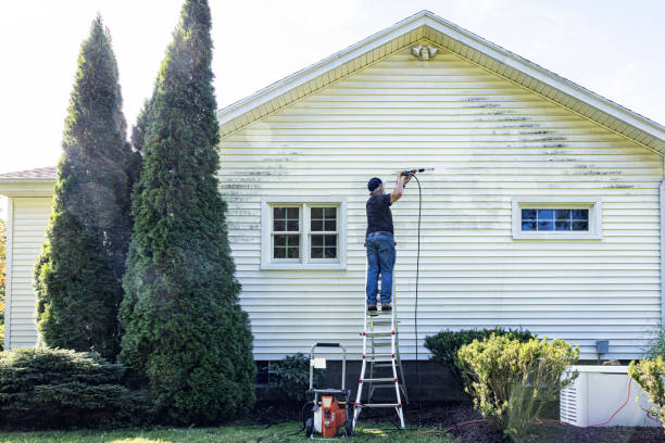 Best Gutter Cleaning  in Carlyss, LA